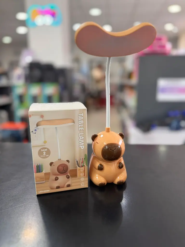 WhatsApp Image 2026-02-12 at 14.16.54.webp