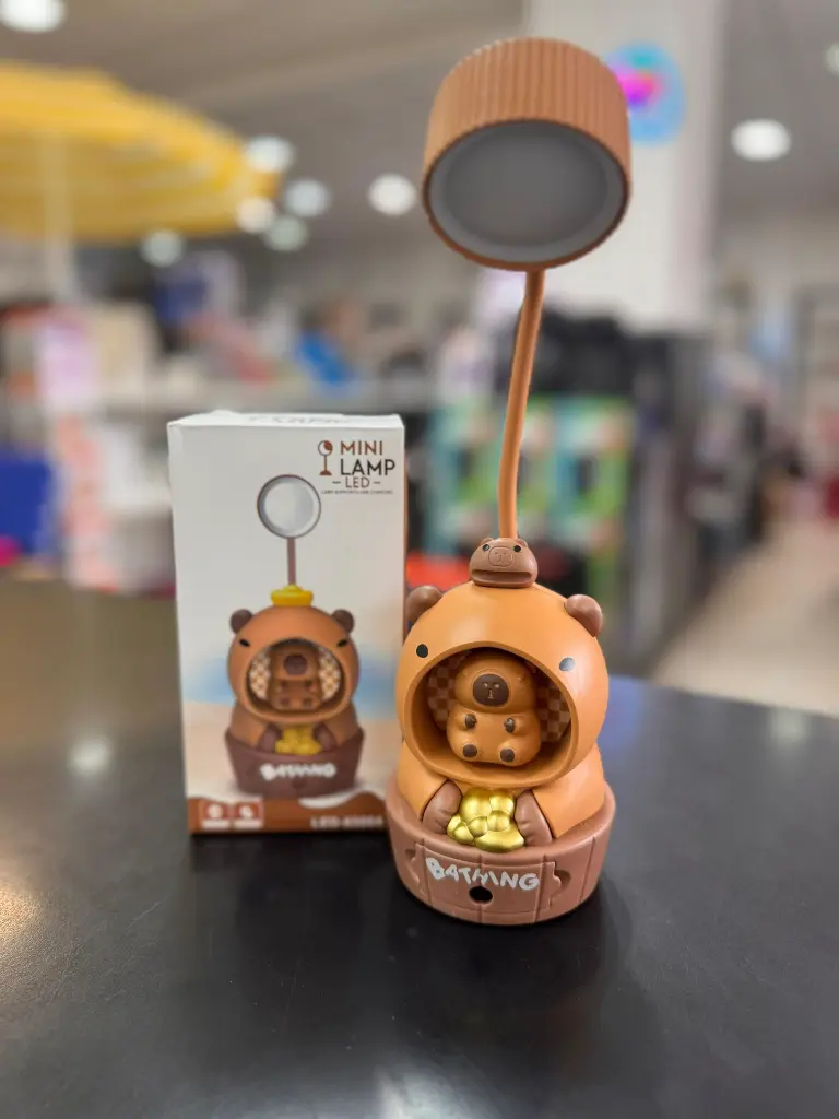 WhatsApp Image 2026-02-12 at 14.17.10.webp