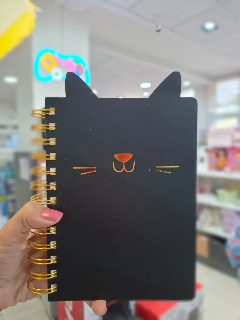 WhatsApp Image 2026-02-13 at 15.51.24.webp